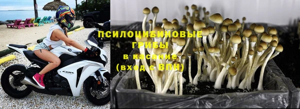 ALPHA PVP Алексин