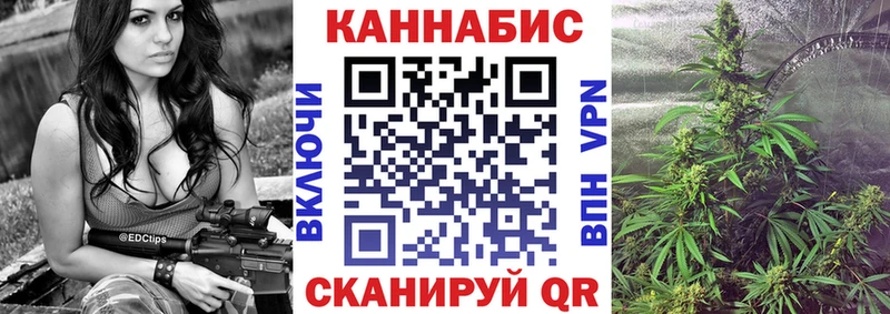 Канабис семена  Купить где  Узловая 